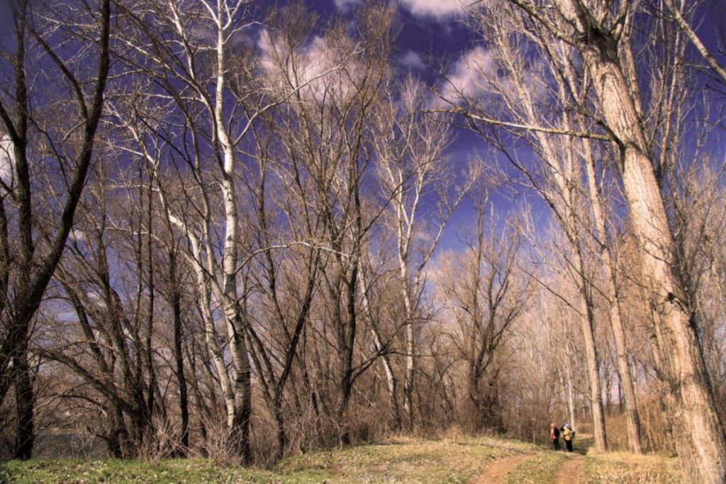 viber_image_2026-03-04_10-47-49-792-1024x683 Молдавская весна в объективе фотографа