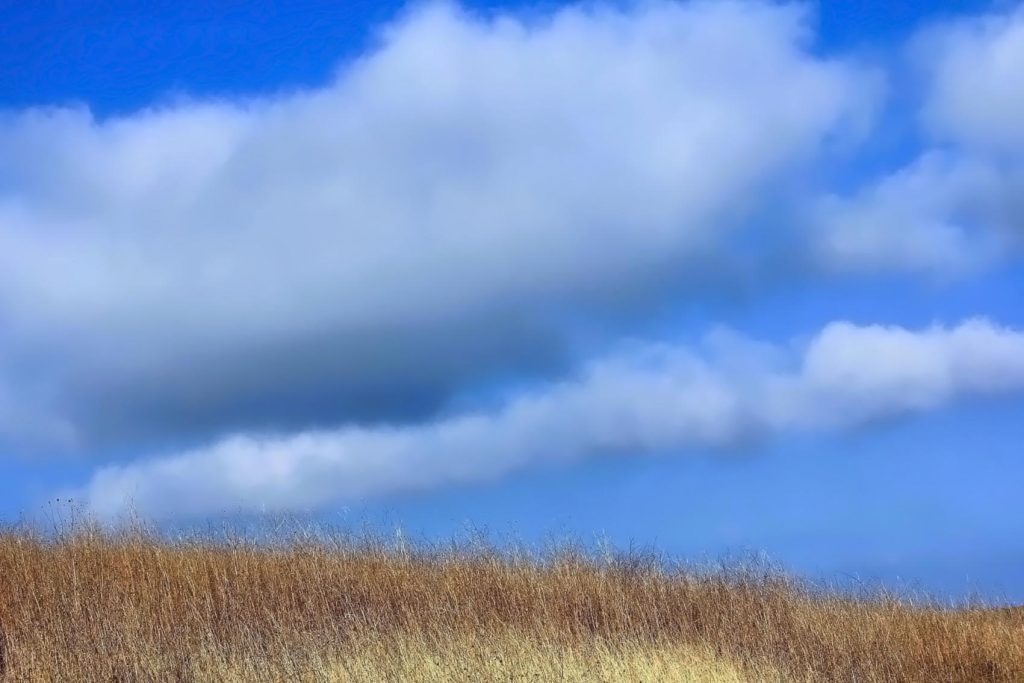 viber_image_2026-03-04_10-48-05-167-1024x683 Молдавская весна в объективе фотографа