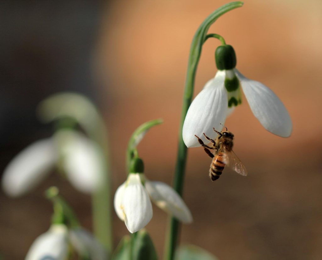 viber_image_2026-03-04_10-48-06-6552-1024x828 Молдавская весна в объективе фотографа