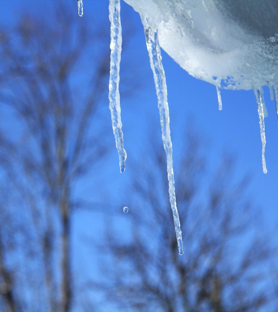 viber_image_2026-03-04_10-48-07-525-915x1024 Молдавская весна в объективе фотографа